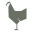 birdschicken.com-logo